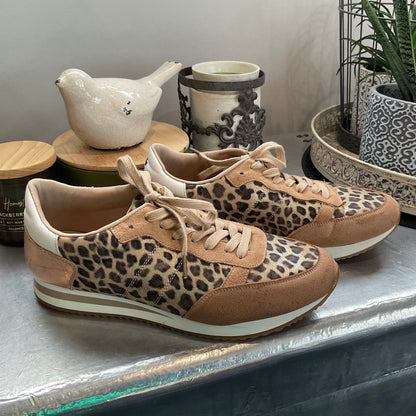 Stella + Gemma sz41