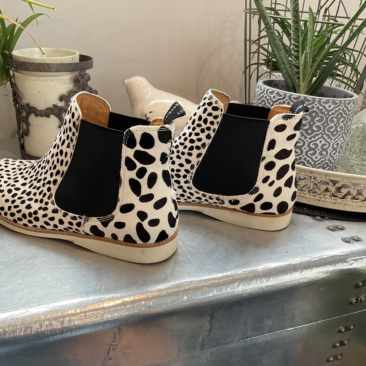 Rollie sz39