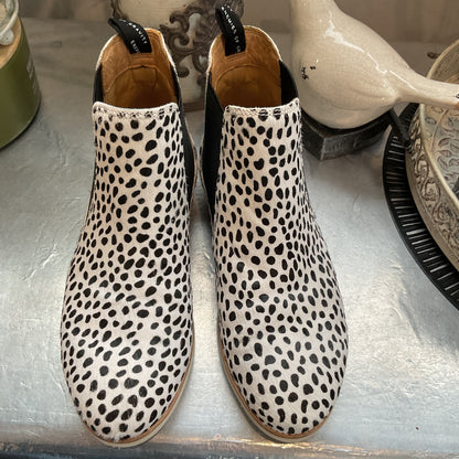 Rollie sz39