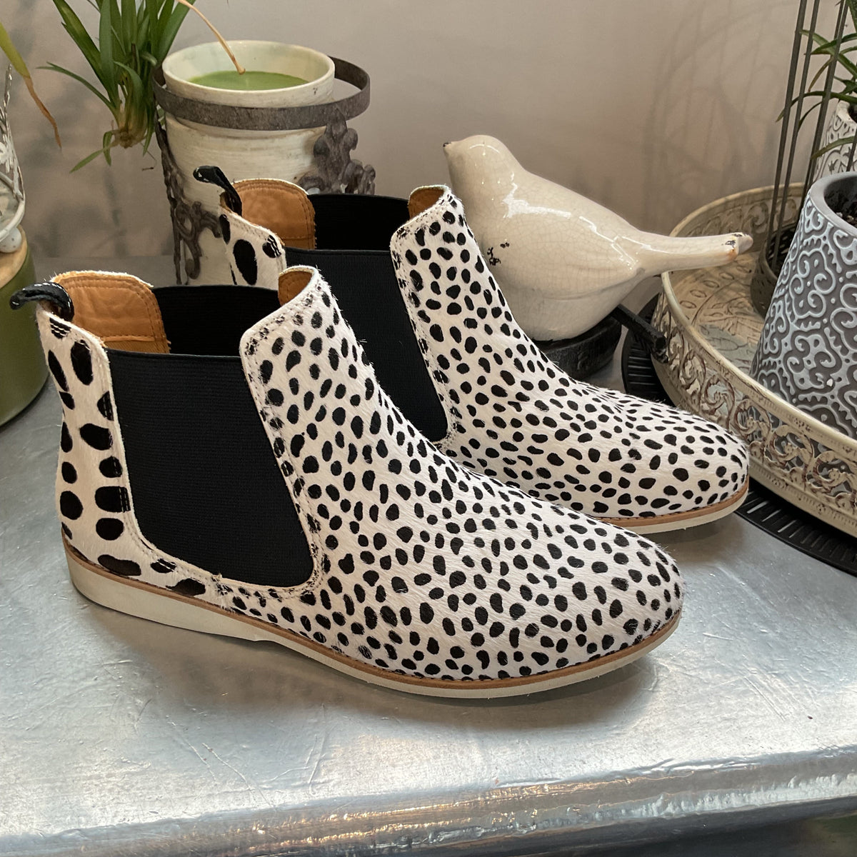 Rollie sz39