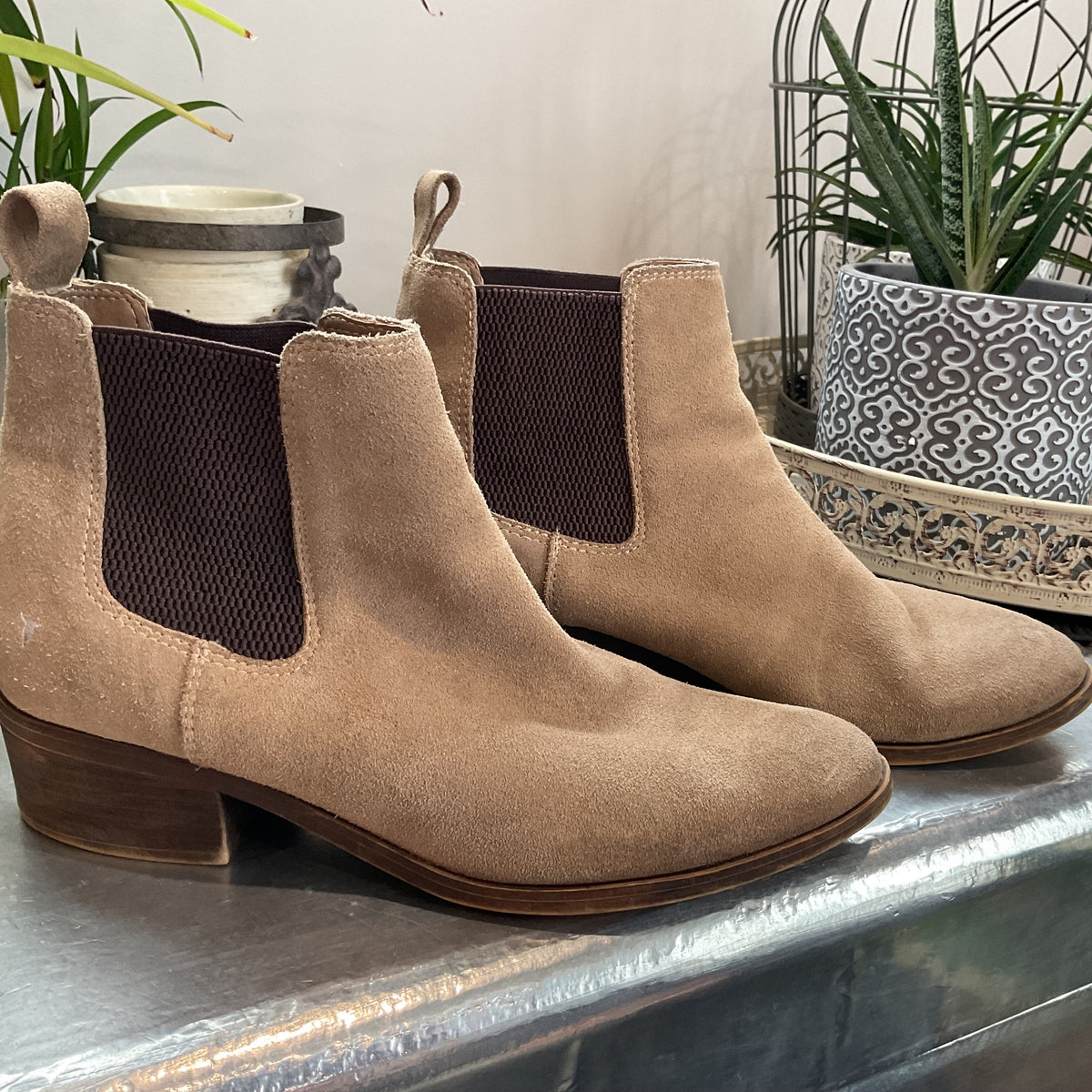 Windsorsmith sz8